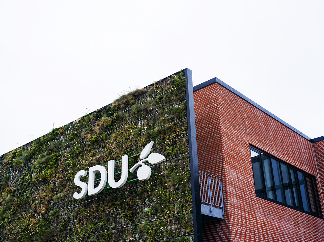 Jurastudiet SDU Esbjerg